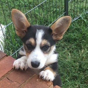 Meet your Posher, Jaden